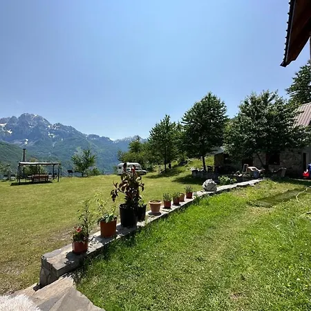 Freskia 3*